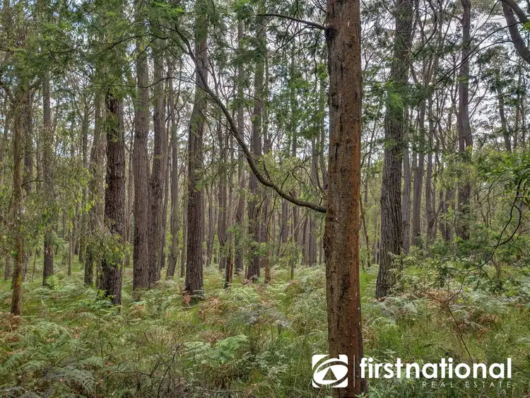 Fifth view of Homely house listing, 420 Mt Eirene Road, Gembrook VIC 3783
