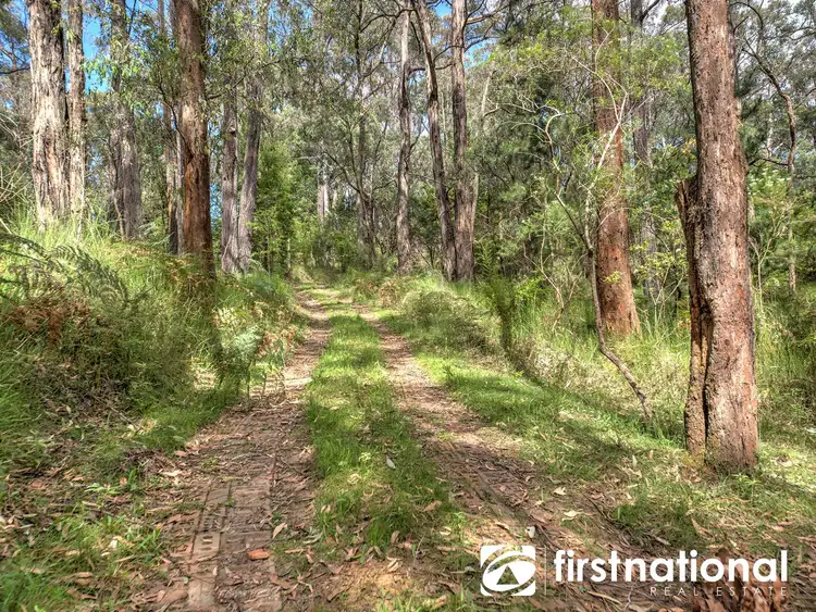Seventh view of Homely house listing, 420 Mt Eirene Road, Gembrook VIC 3783
