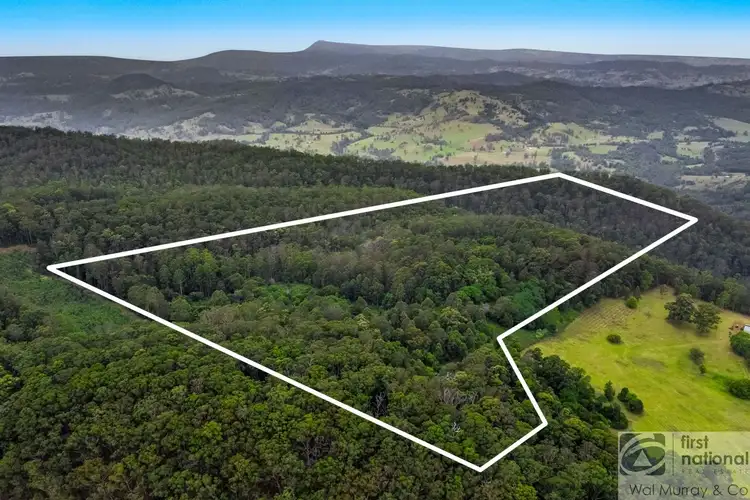 Third view of Homely rural property listing, 601E Cawongla Road, Bentley NSW 2480