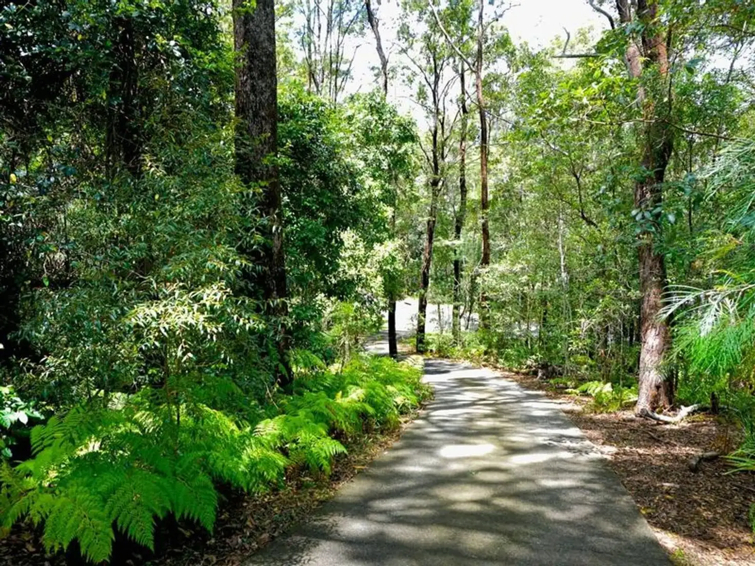 Main view of Homely house listing, 16 Maroochy Spring Drive, Dulong QLD 4560