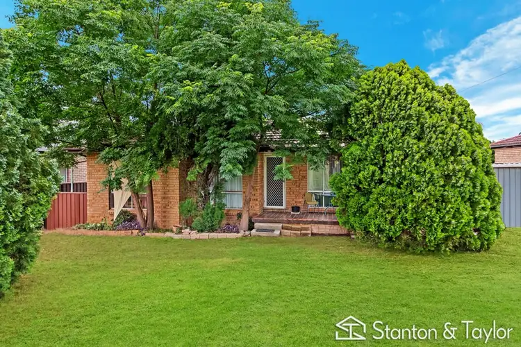 Main view of Homely house listing, 20 Nixon Street, Emu Plains NSW 2750