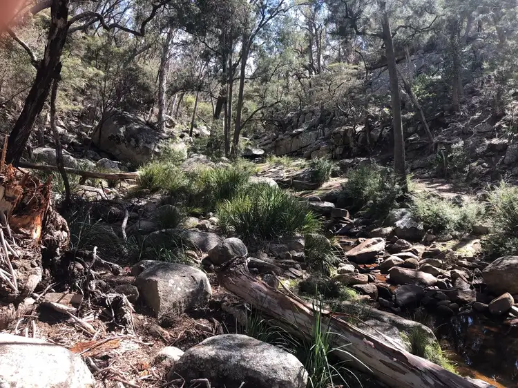 Main view of Homely rural property listing, Lot 58 Gunyah Road, Tenterfield NSW 2372