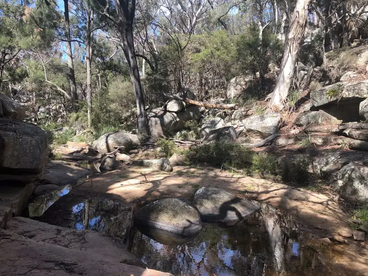 Third view of Homely rural property listing, Lot 58 Gunyah Road, Tenterfield NSW 2372