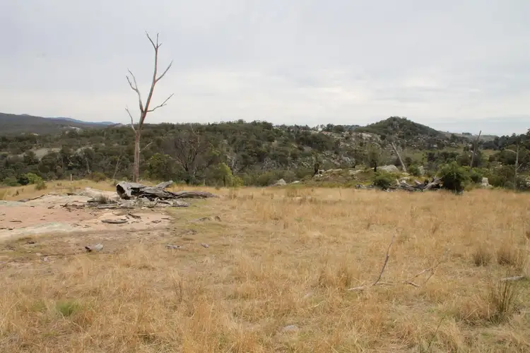 Fifth view of Homely rural property listing, Lot 58 Gunyah Road, Tenterfield NSW 2372