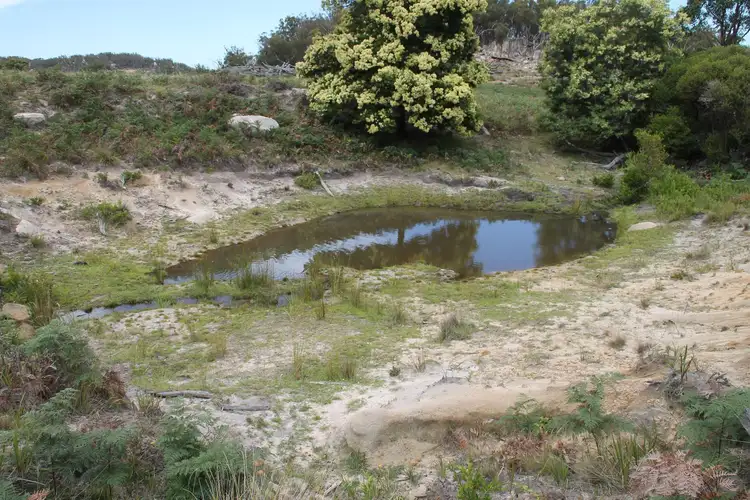 Seventh view of Homely rural property listing, Lot 58 Gunyah Road, Tenterfield NSW 2372
