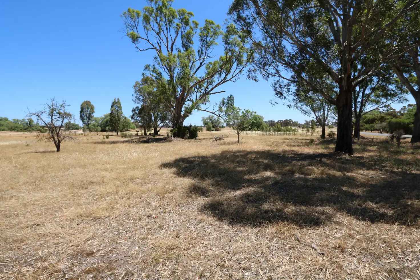 Main view of Homely land listing, . Timor Road, Bowenvale VIC 3465