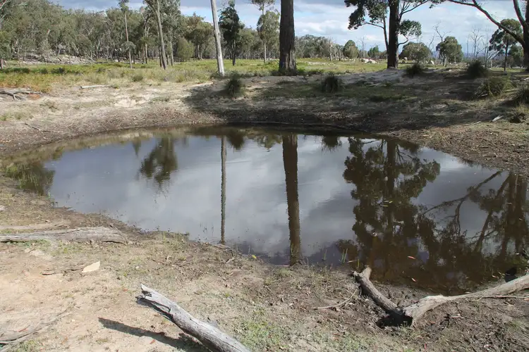 Second view of Homely rural property listing, Lot 8 Gunyah Road, Tenterfield NSW 2372