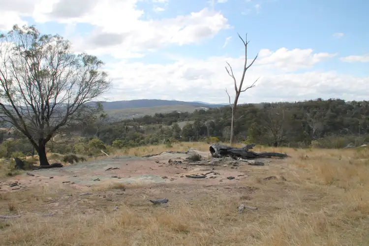 Fourth view of Homely rural property listing, Lot 8 Gunyah Road, Tenterfield NSW 2372