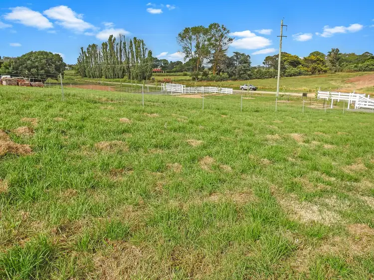 Sixth view of Homely land listing, 97 Richards Lane, Millthorpe NSW 2798