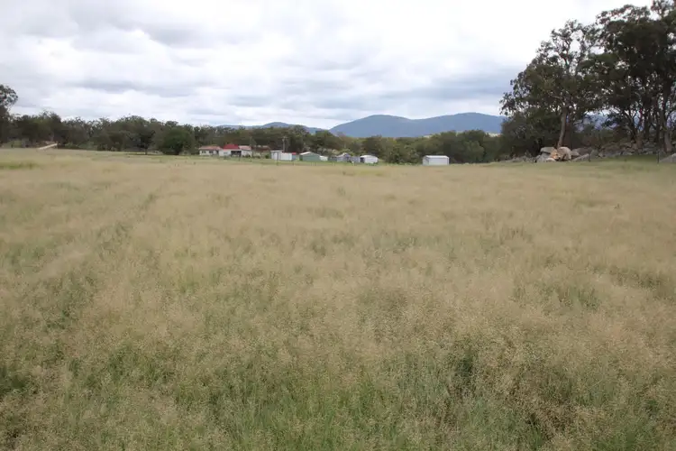 288 Schroders Road, Tenterfield NSW 2372