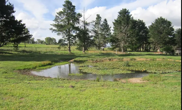 Second view of Homely rural property listing, 203 Bruxner Highway, Tenterfield NSW 2372