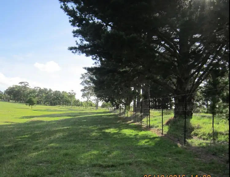 Fourth view of Homely rural property listing, 203 Bruxner Highway, Tenterfield NSW 2372