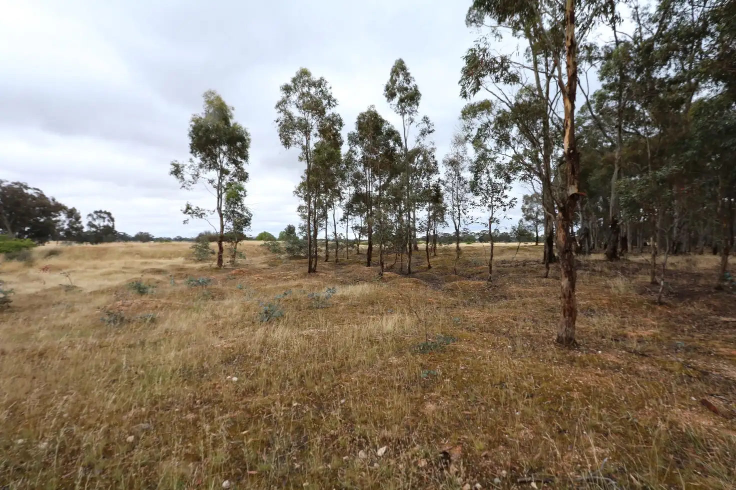 Main view of Homely land listing, CA15 Andersons Road, Bowenvale VIC 3465