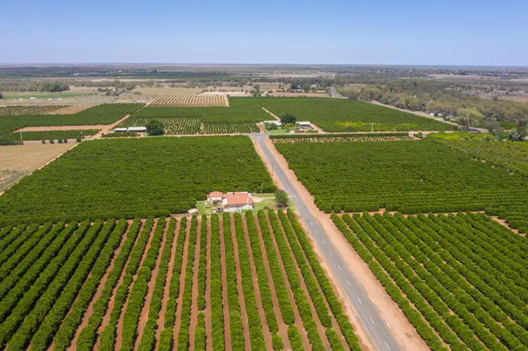 Main view of Homely rural property listing, 310 Delta Road, Curlwaa NSW 2648