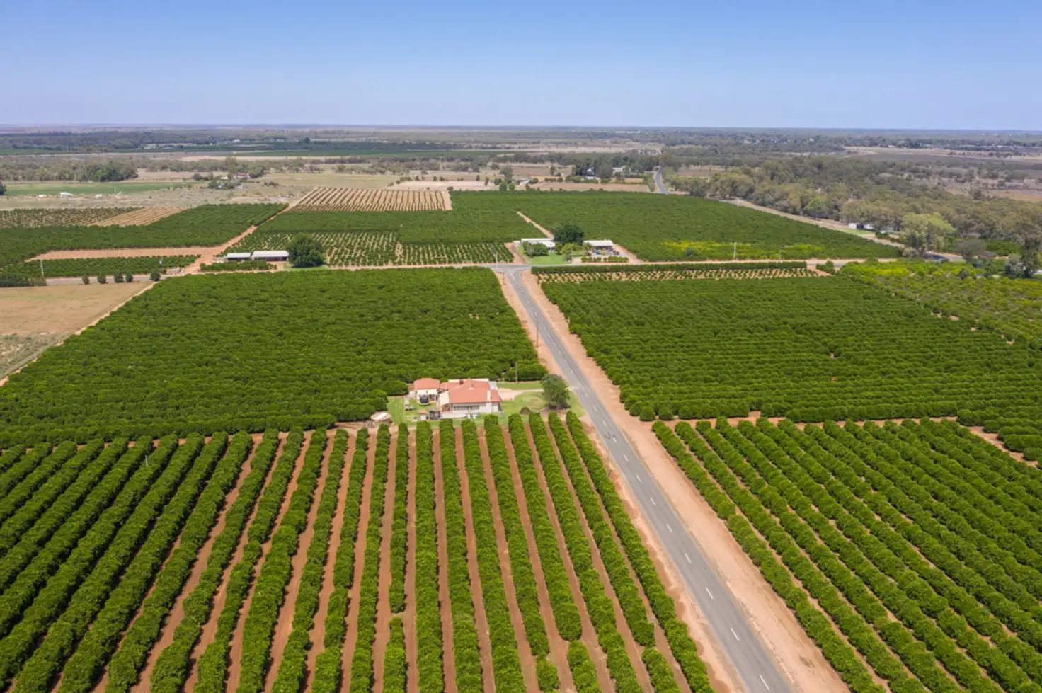 Main view of Homely rural property listing, 310 Delta Road, Curlwaa NSW 2648