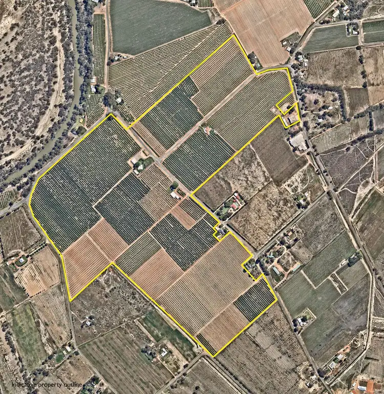 Second view of Homely rural property listing, 310 Delta Road, Curlwaa NSW 2648