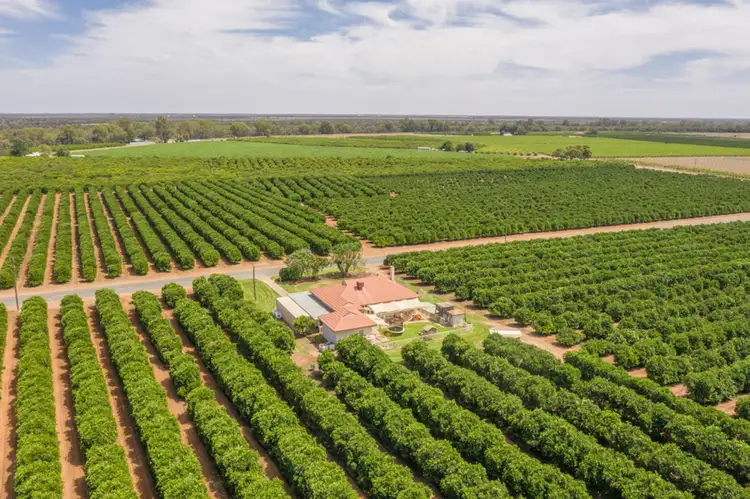 Seventh view of Homely rural property listing, 310 Delta Road, Curlwaa NSW 2648