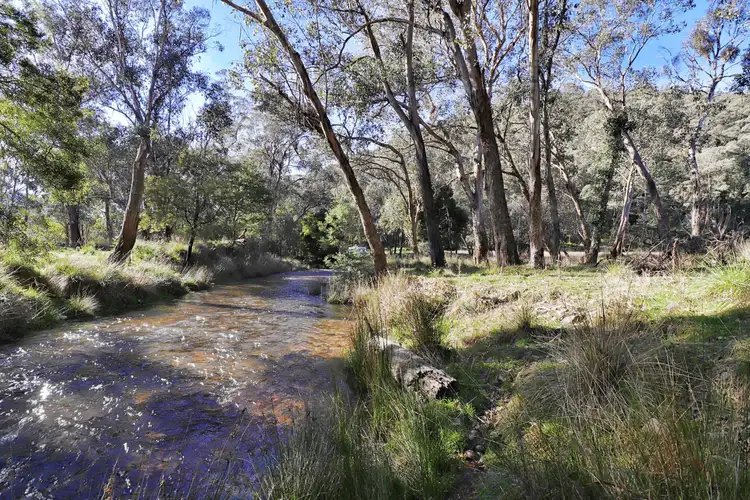 Second view of Homely rural property listing, S20A Morses Creek Road, Wandiligong VIC 3744