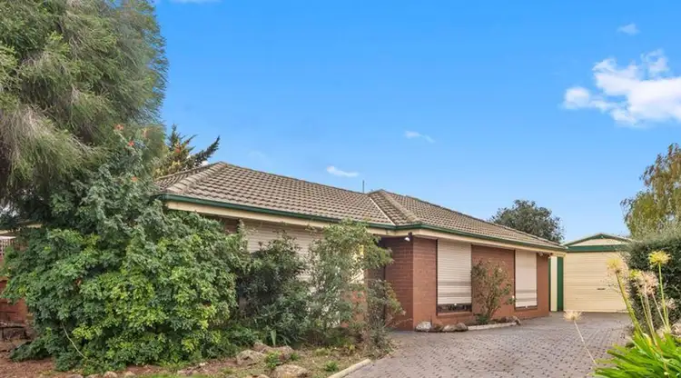 7 Jacaranda Court