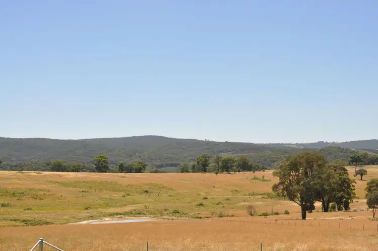 Main view of Homely land listing, 225 Bradene Road, Neville NSW 2799