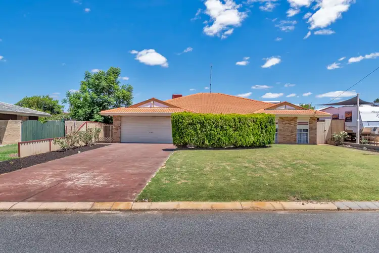 6 Peter Street, Pinjarra WA 6208
