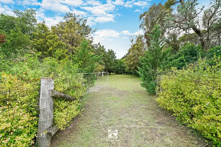 Fourth view of Homely house listing, 220 Montpelier Drive, The Oaks NSW 2570