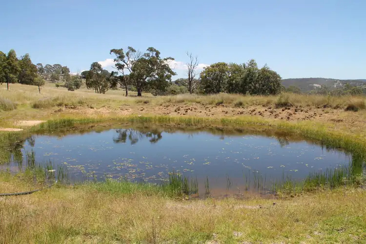 Fifth view of Homely rural property listing, 517 Gunyah Road, Tenterfield NSW 2372
