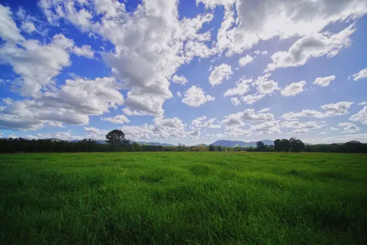 Fifth view of Homely house listing, 477 Upper Widgee Road, Widgee QLD 4570