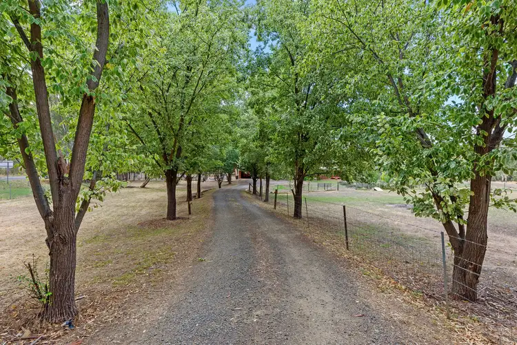 Fifth view of Homely house listing, 693 Diamond Hill Road, Mandurang VIC 3551