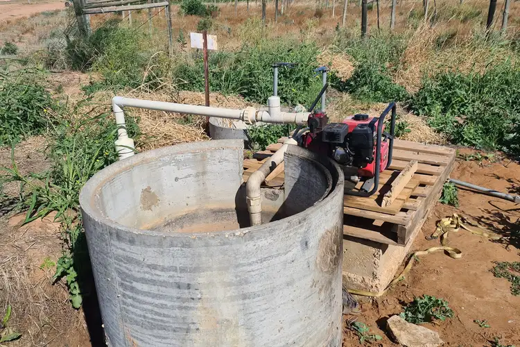 Fourth view of Homely rural property listing, Lot 1 Jones Road, Irymple VIC 3498