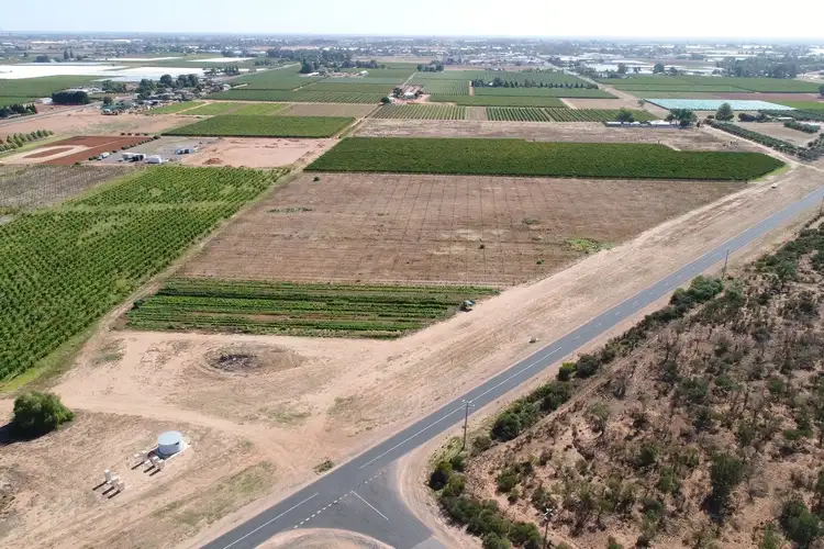 Fifth view of Homely rural property listing, Lot 1 Jones Road, Irymple VIC 3498