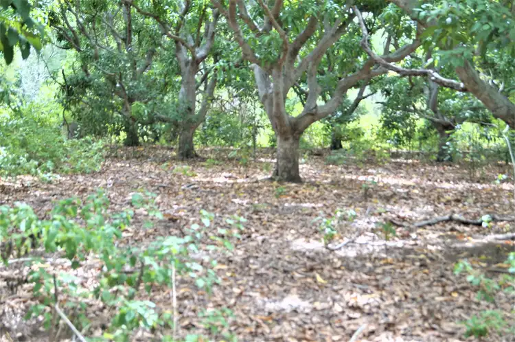 Fifth view of Homely rural property listing, 28 Cowie Road, Bajool QLD 4699