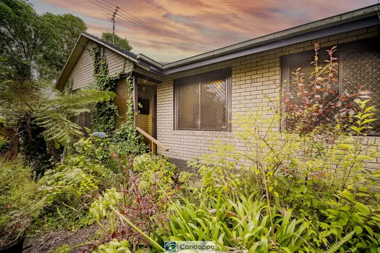 Second view of Homely house listing, 51 Western Park Drive, Warragul VIC 3820