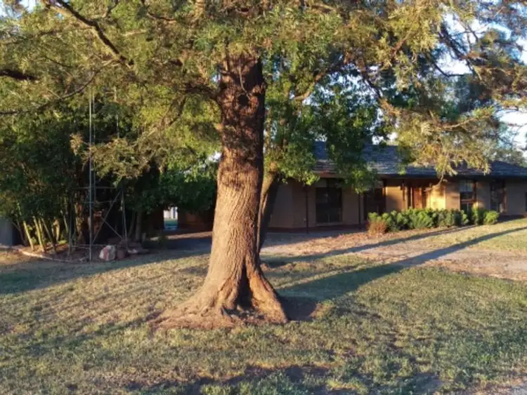 Sixth view of Homely rural property listing, 145 Greens Road, Cohuna VIC 3568