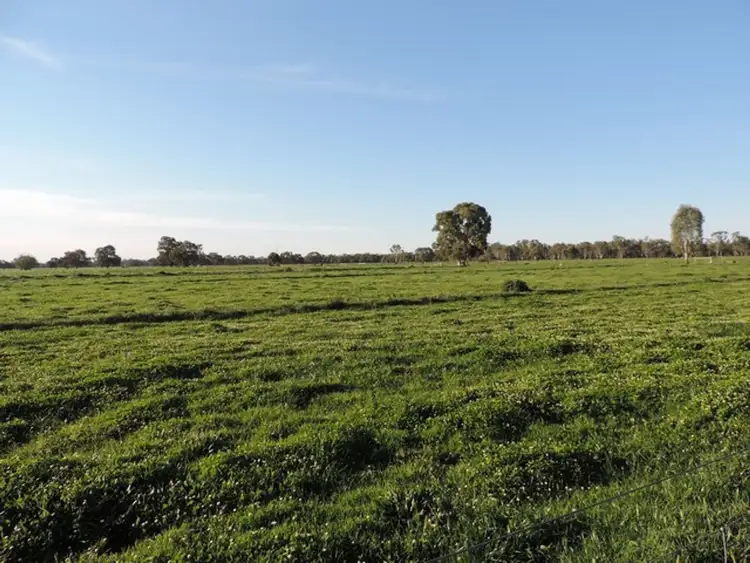 Third view of Homely rural property listing, 63 Richardsons Road, Cohuna VIC 3568