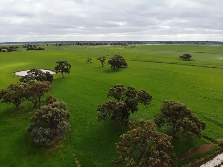 Main view of Homely rural property listing, 00 Leitchville-Kerang Road, Cohuna VIC 3568
