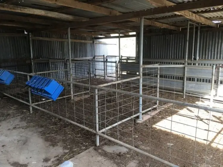 Seventh view of Homely rural property listing, 196 Kervin's Road, Cohuna VIC 3568