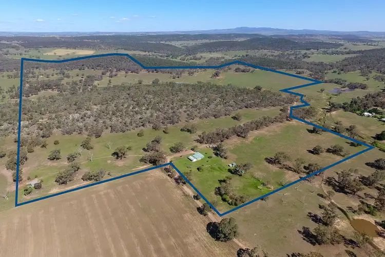 Third view of Homely rural property listing, 97 Pecks Road, Molong NSW 2866