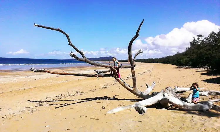 Fifth view of Homely land listing, 119 Pacific Drive, Hay Point QLD 4740