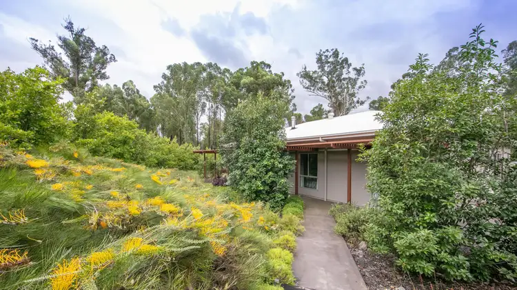 Main view of Homely rural property listing, 240 Crisp Drive, Ashby Heights NSW 2463