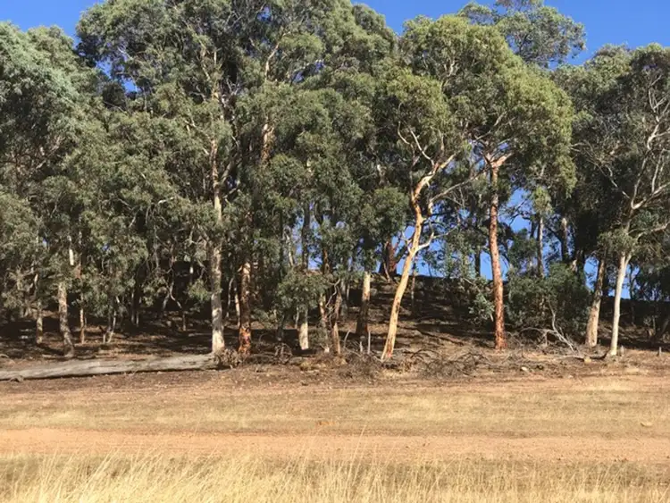 Main view of Homely rural property listing, 46 Mistletoe View, Boddington WA 6390