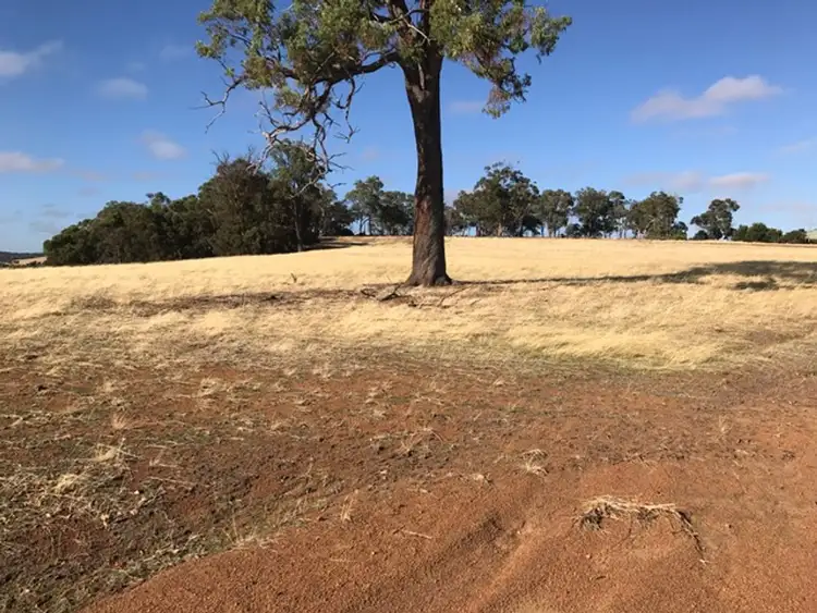 Second view of Homely rural property listing, 46 Mistletoe View, Boddington WA 6390