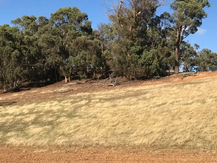 Fifth view of Homely rural property listing, 46 Mistletoe View, Boddington WA 6390