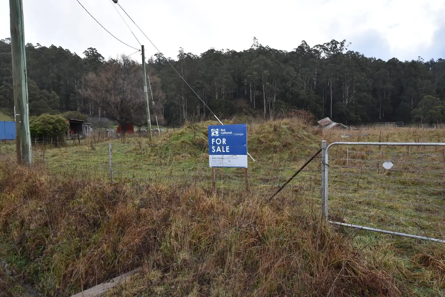 Main view of Homely rural property listing, Lot 5 Liena Rd, Liena TAS 7304