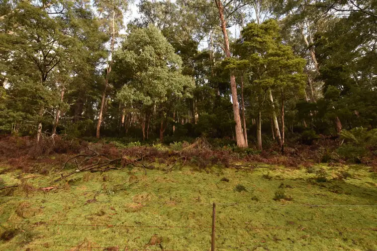 Second view of Homely rural property listing, Lot 5 Liena Rd, Liena TAS 7304