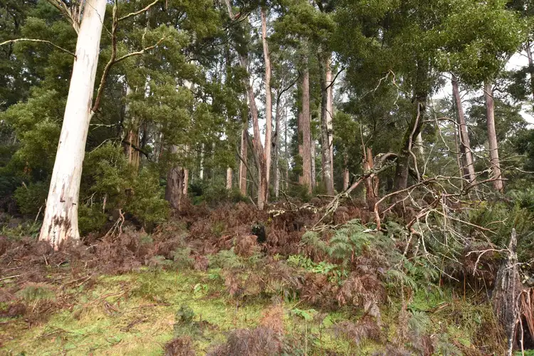 Third view of Homely rural property listing, Lot 5 Liena Rd, Liena TAS 7304