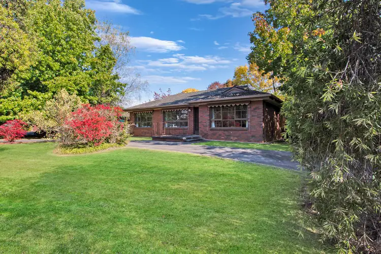 Main view of Homely house listing, 3 Halinka Court, Bright VIC 3741
