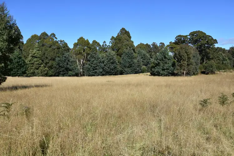 Main view of Homely land listing, 54 Bonney Street, Elizabeth Town TAS 7304