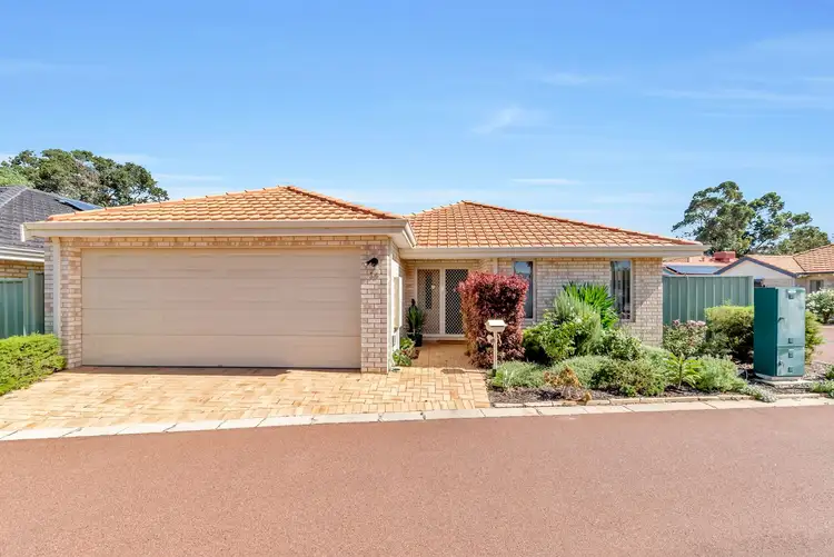 Main view of Homely house listing, 36 Saffron Loop, Falcon WA 6210