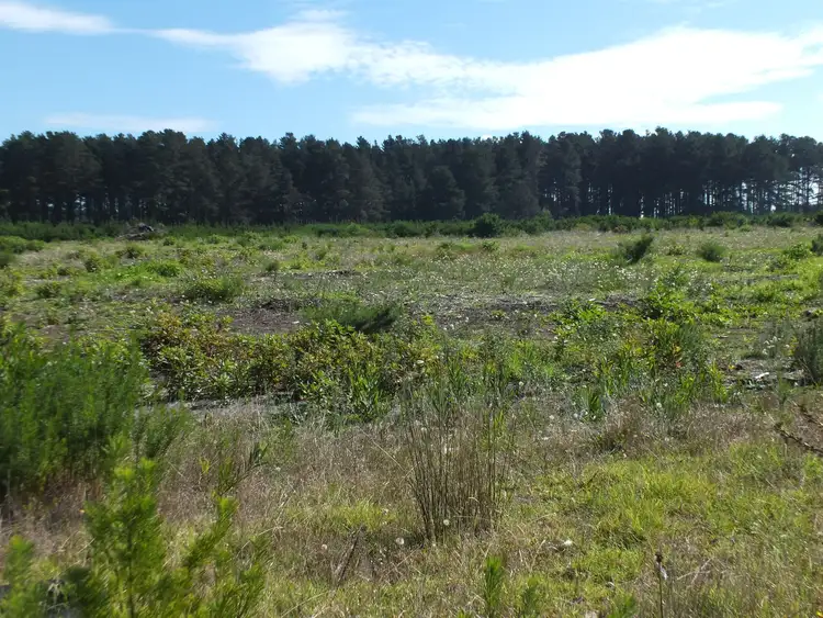 Third view of Homely house listing, 70 Radiata Drive, Mckail WA 6330